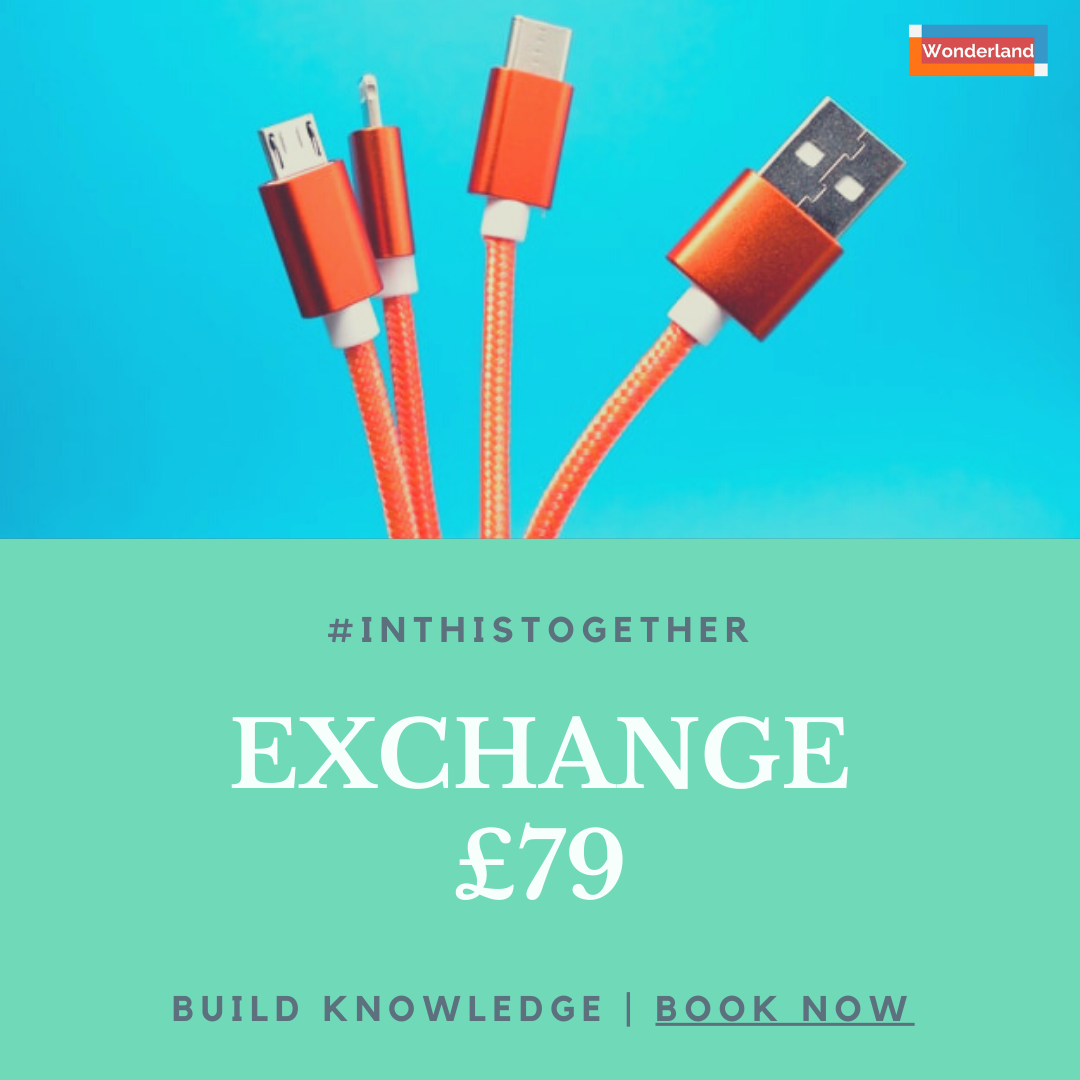 Exchange Session, Wonderland DIgital, Cherryl Martin, Pricing Images, SPR2020